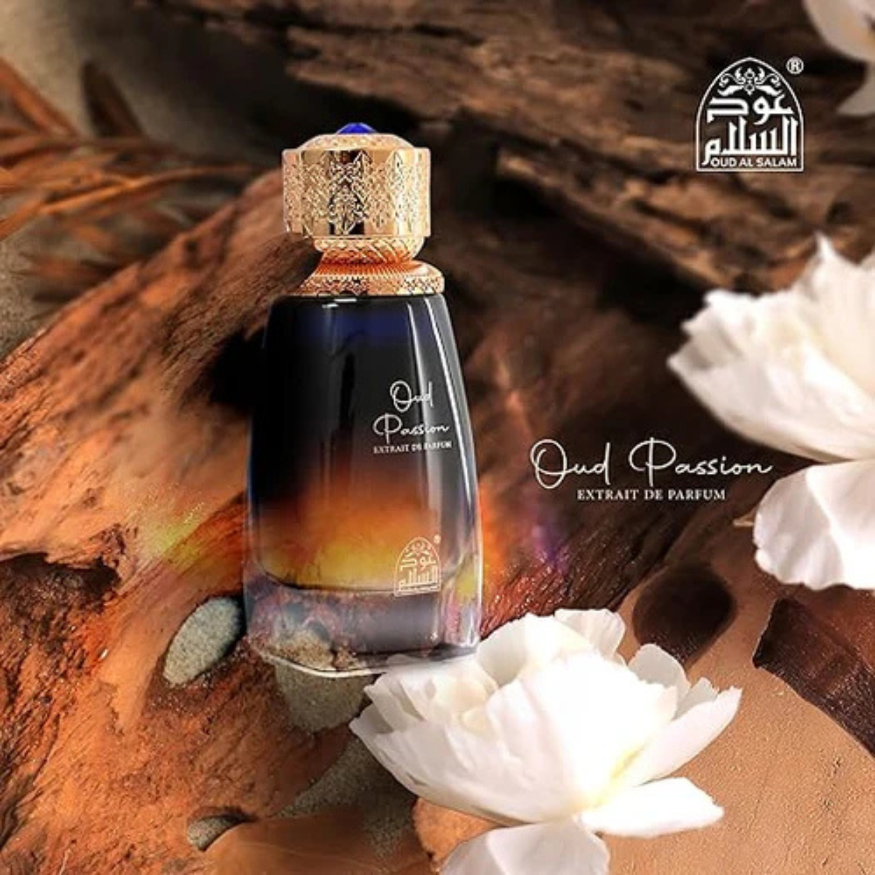 OUD PASSION by Oud Al Salam